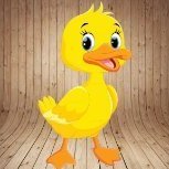 Yellow_duck